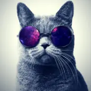profile.avatar_alt