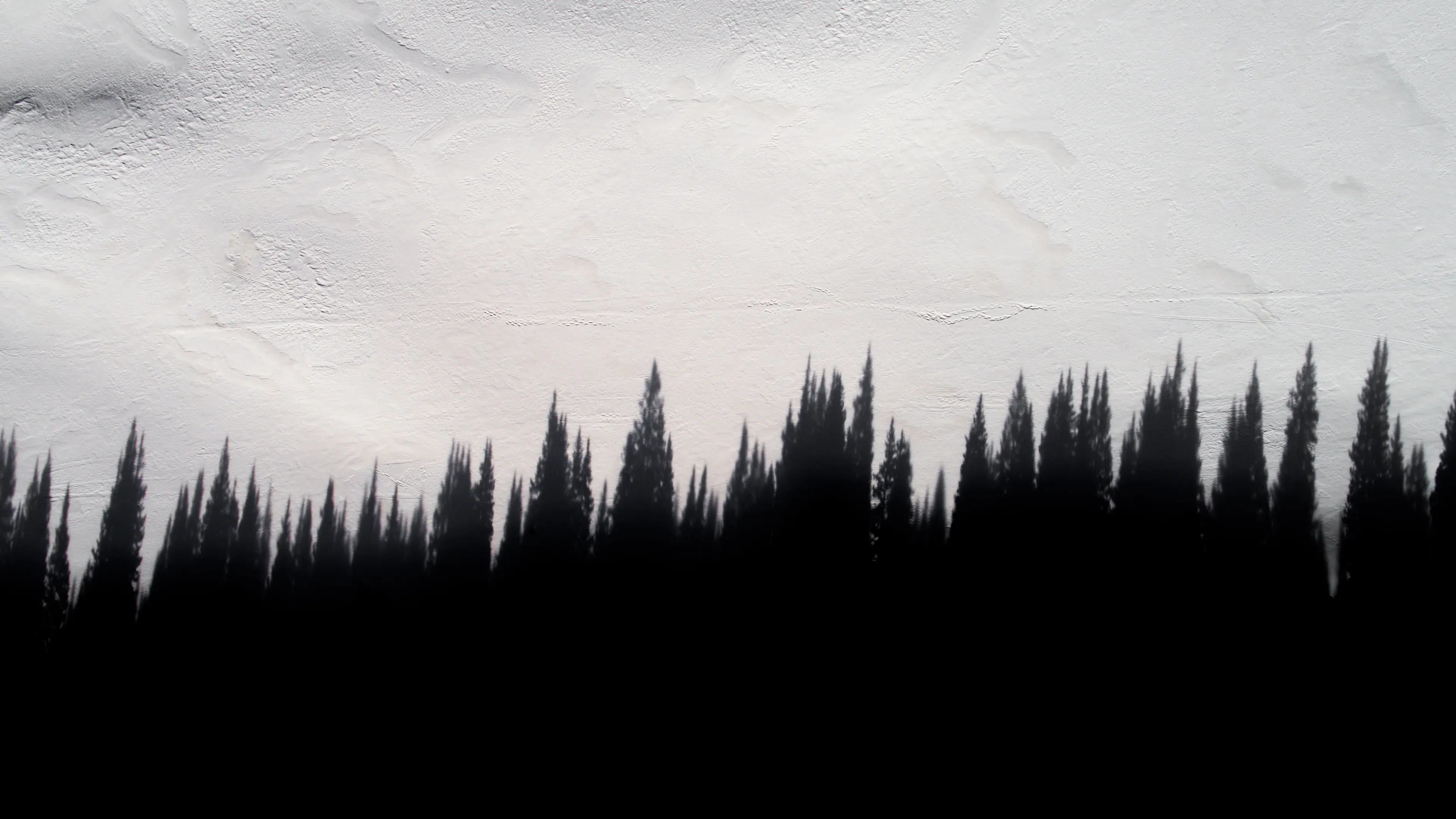 profile.banner_alt