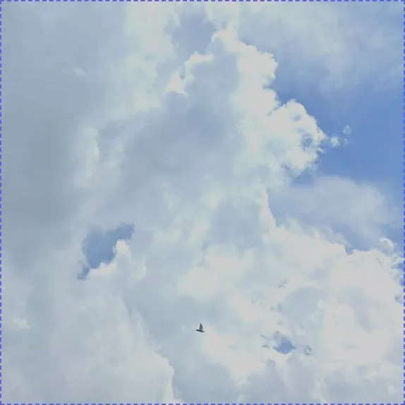 profile.banner_alt