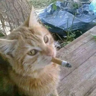 destructive_thoughts